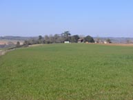 agri